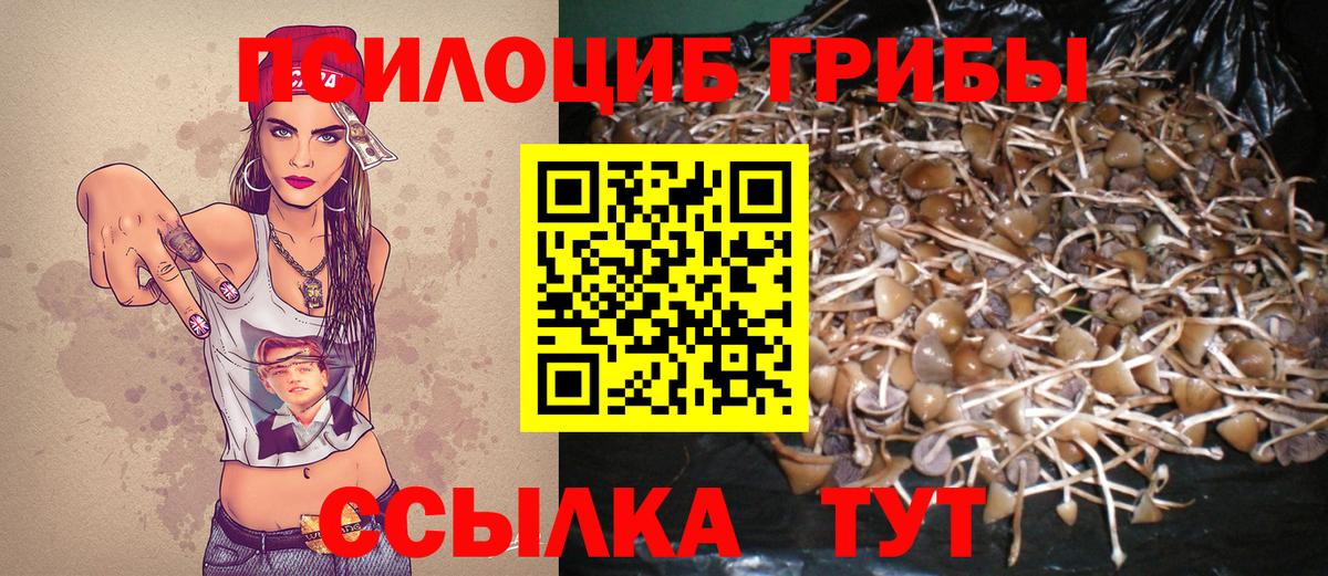Галлюциногенные грибы Cubensis Сочи