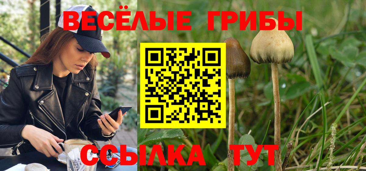 Галлюциногенные грибы мухоморы  Псилоцибиновые грибы Magic Shrooms  Сочи  купить наркоту  Вход с VPN 